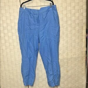 Talbots Light Blue Straight Leg Pants – Size 14W (Plus Size)